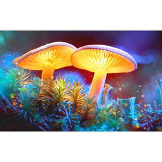 Pulsar Mystical Mushrooms Tapestry - AltheasAttic420